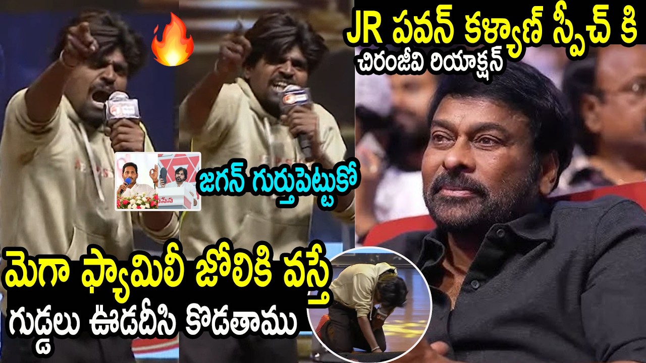 JR Pawan Kalyan Gave Mass Waring to YS jagan On Megastar Chiranjeevi Birthday Celebrations | APA