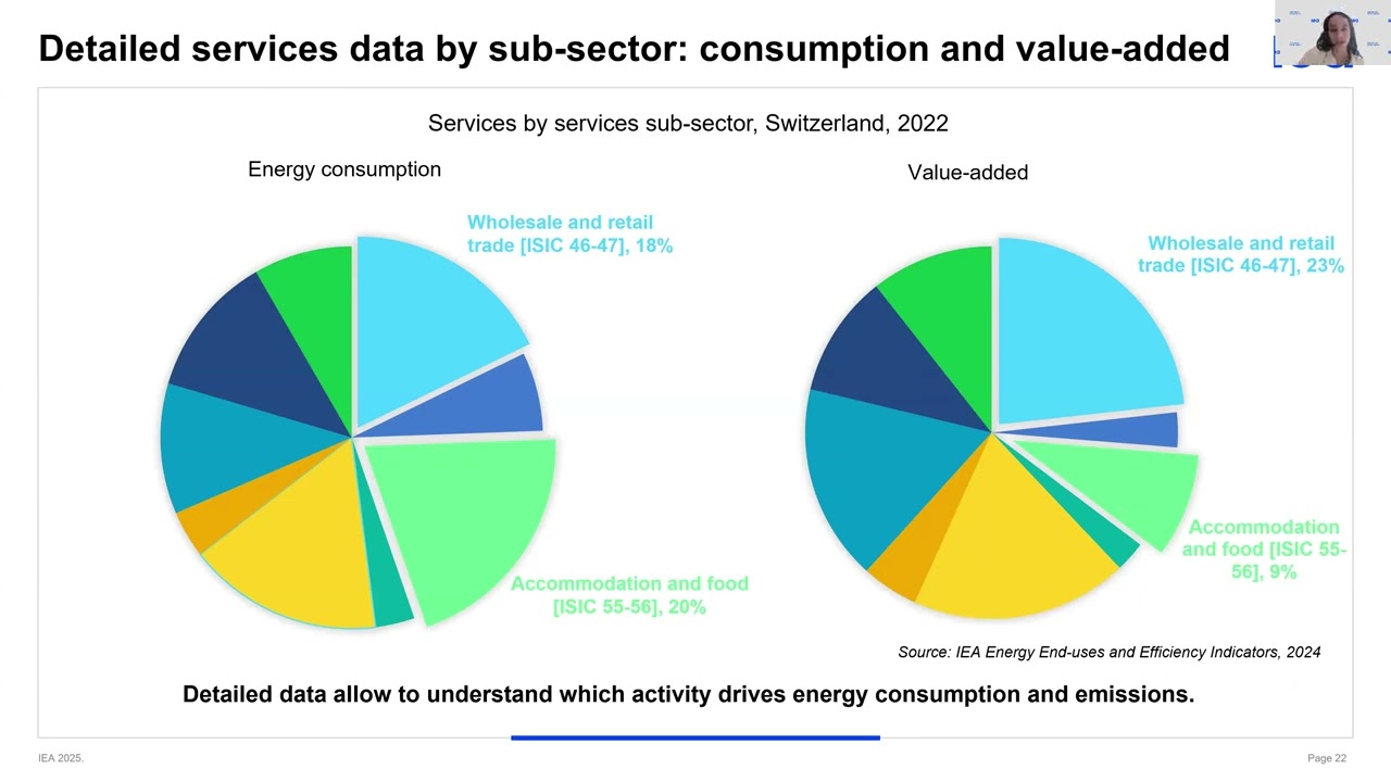 Webinar: IEA Statistics Training 2025 - Energy Demand and End-Use Data (Russian)