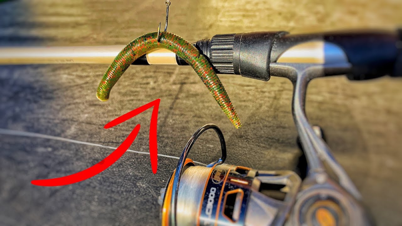 WACKY WORM in COLD WATER | This Setup ALWAYS Catches Fish