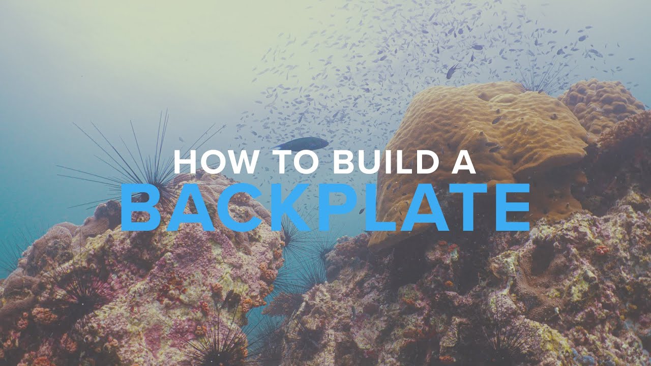 How To Build A Backplate System | Deep Dive
