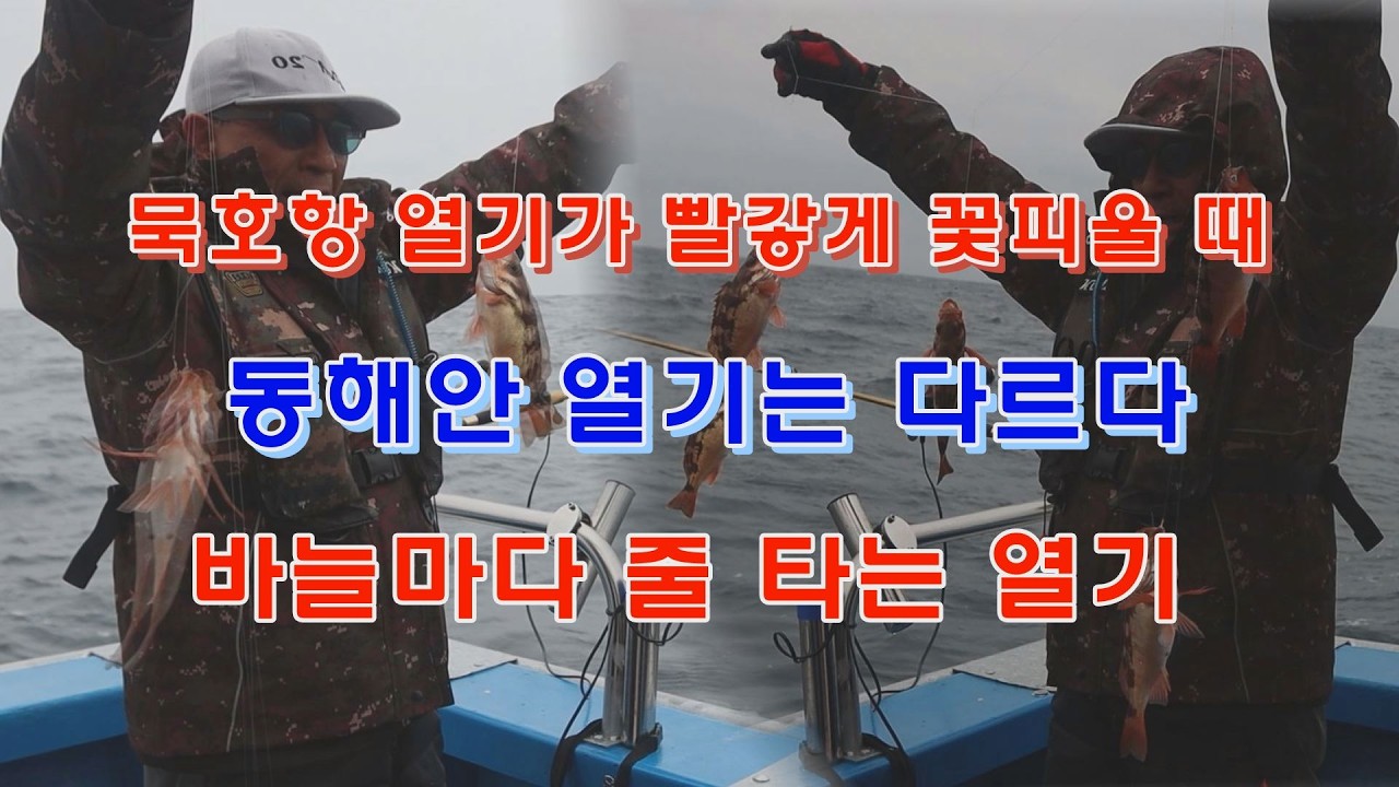 2602- 3   묵호항 열기가 빨갛게 꽃피울 때 - #김태풍낚시#묵호항 천태호#이레낚시#동해안열기#방어새끼#열기꽃#열기낚시#줄타기#김태풍