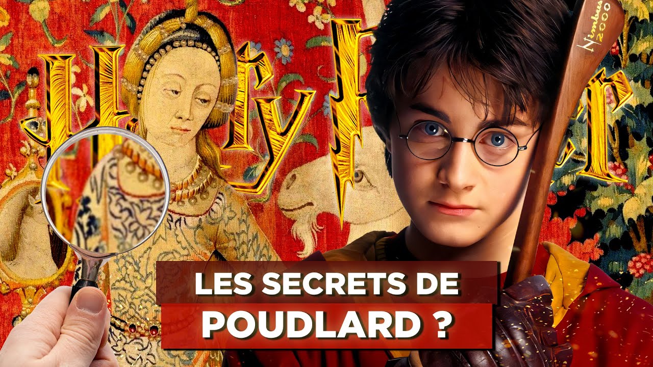 20 RÉFÉRENCES CACHÉES dans HARRY POTTER feat @La Manie Du Cinéma