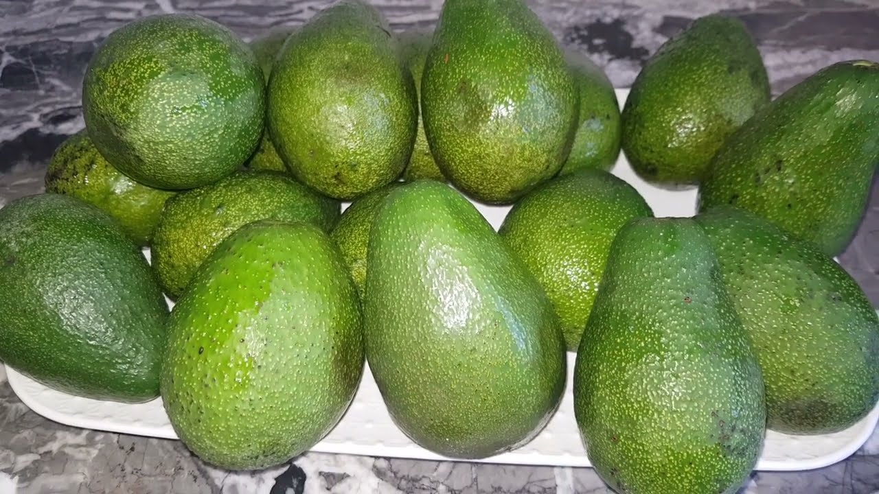 Conserver les avocats🥑🥑🥑🥑  تخزين  الافوكا