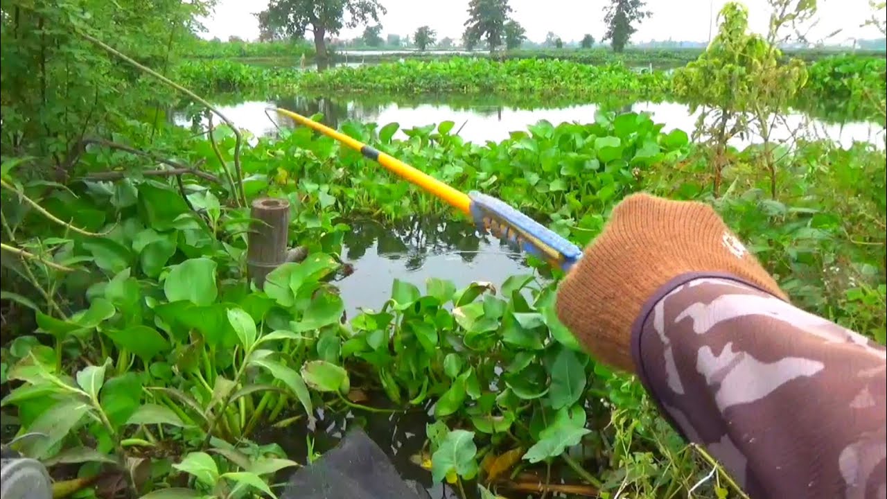 Full Ikan Besar..!! Spot mancing impian para pemancing
