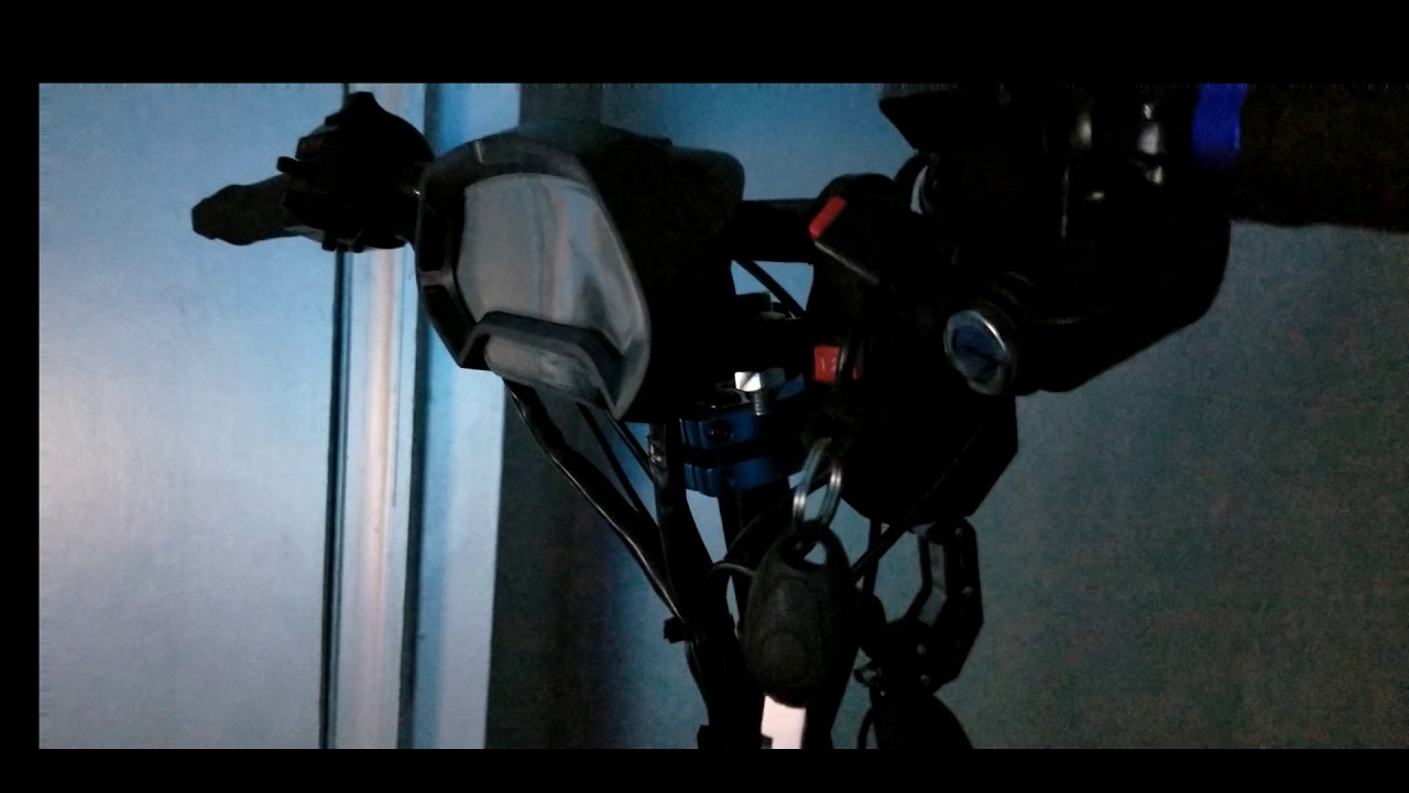 Dualped Pegasus 2020 (Custom Build)RPM/BASIC LIGHTS TEST