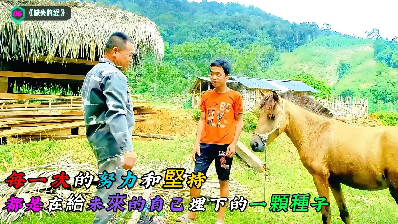 每一次的努力和堅持，都是在給未來的自己埋下的一顆種子《缺失的愛》06