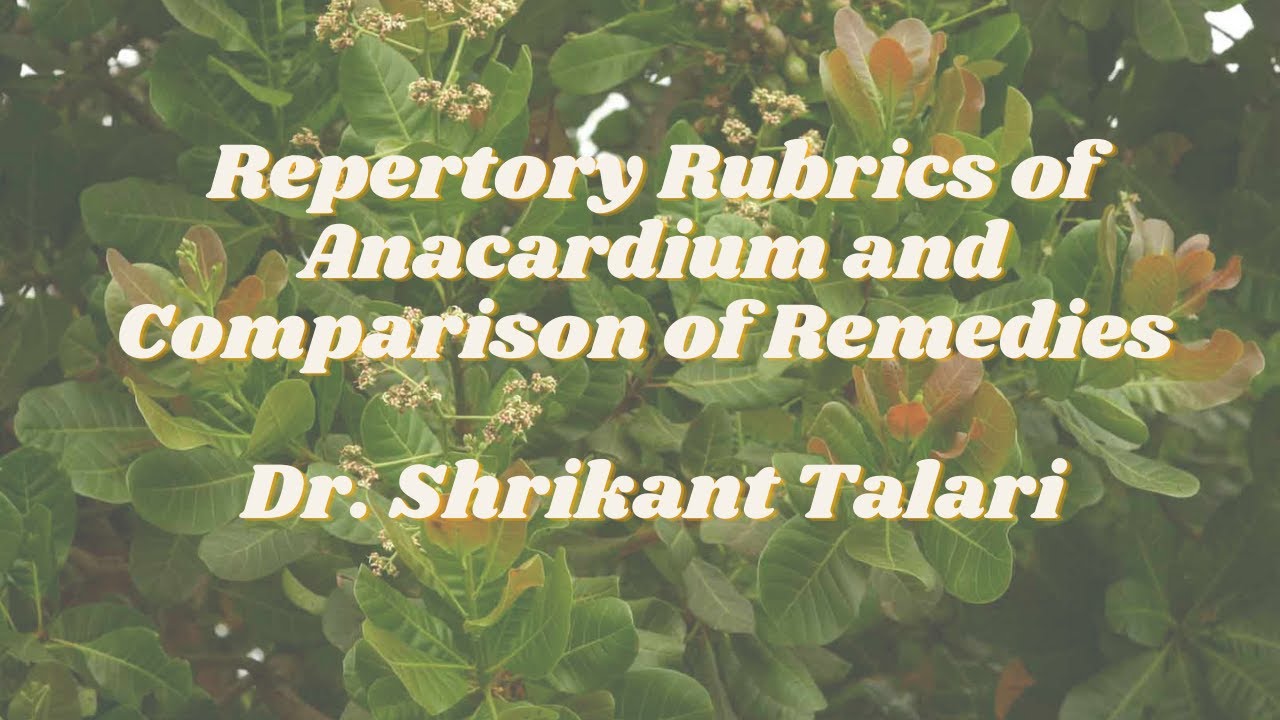 Anacardium Repertory Rubrics and Comparative Study of Remedies |Dr Shrikant Talari