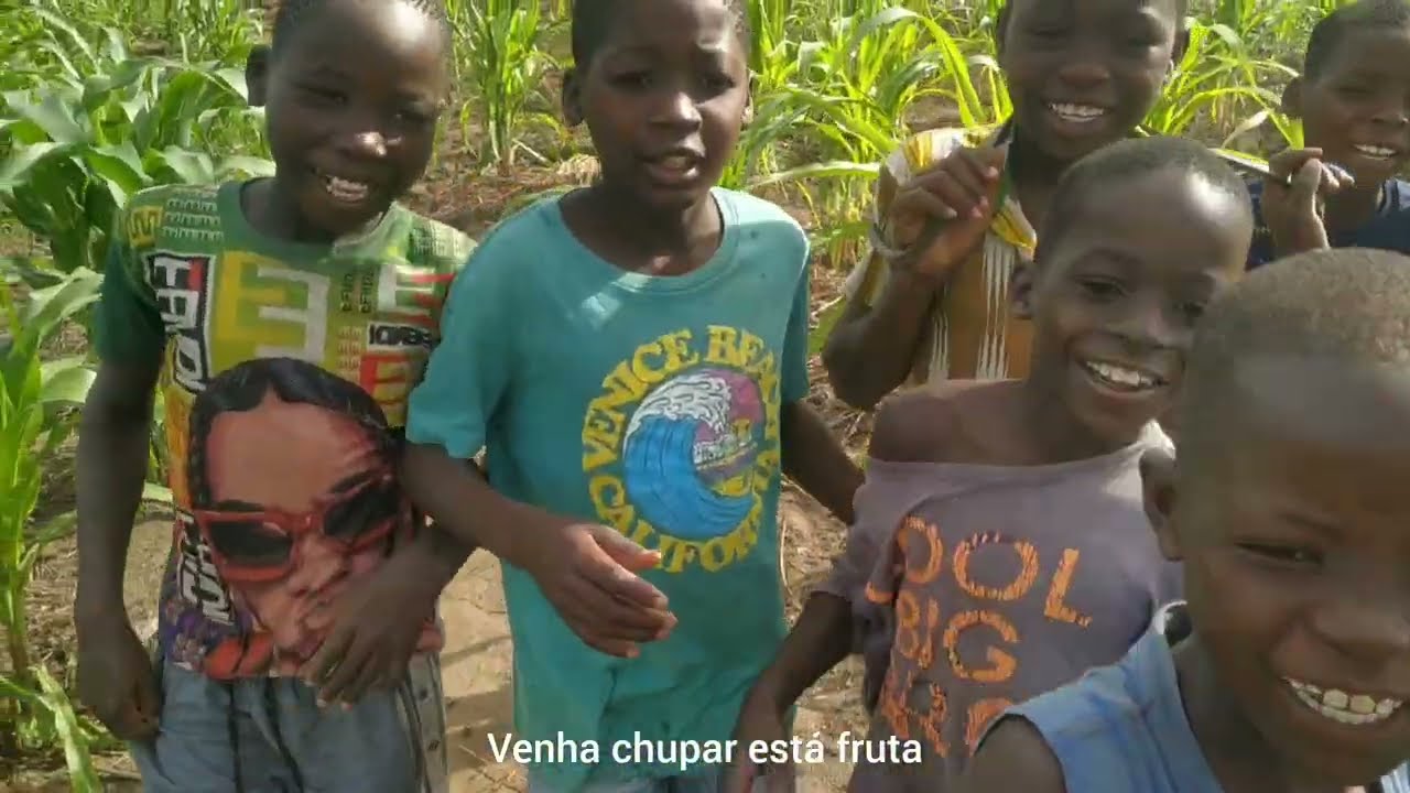 A vida na roça do interior da África(produzindo milho)