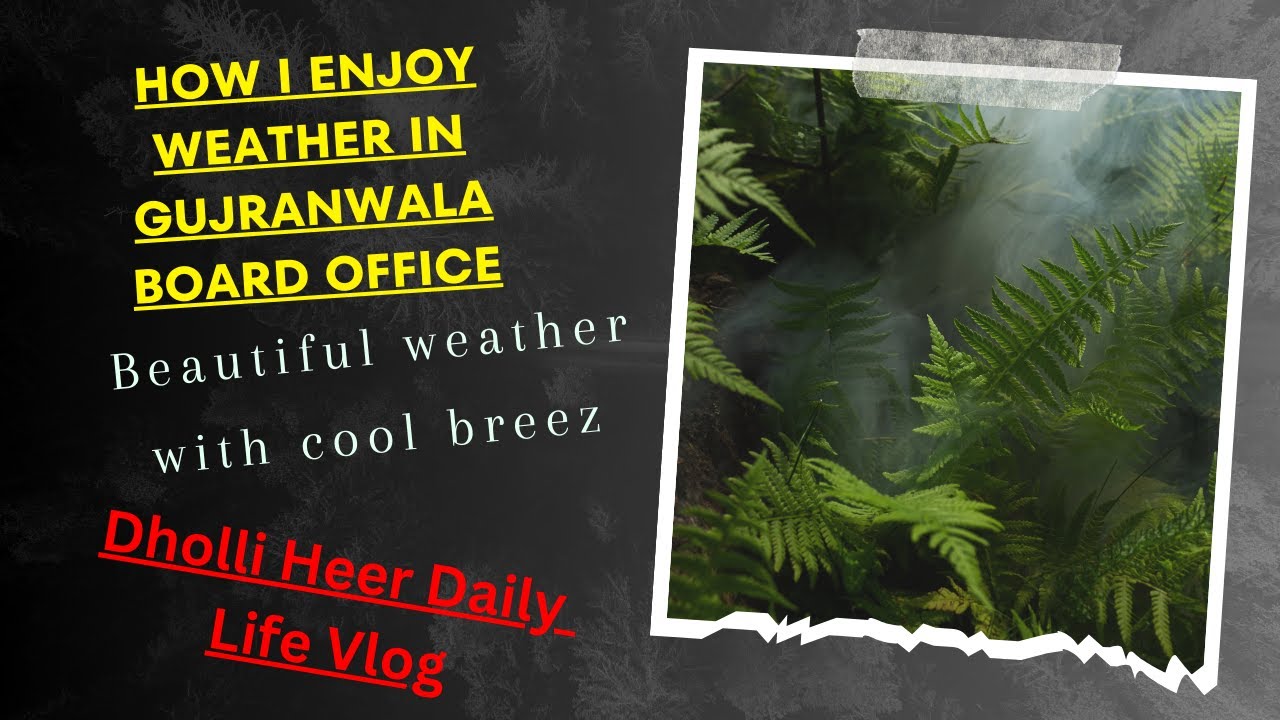 Embracing Blissful Weather at the Board of Intermediate Office | Gujranwala Vlog | BISEGRW