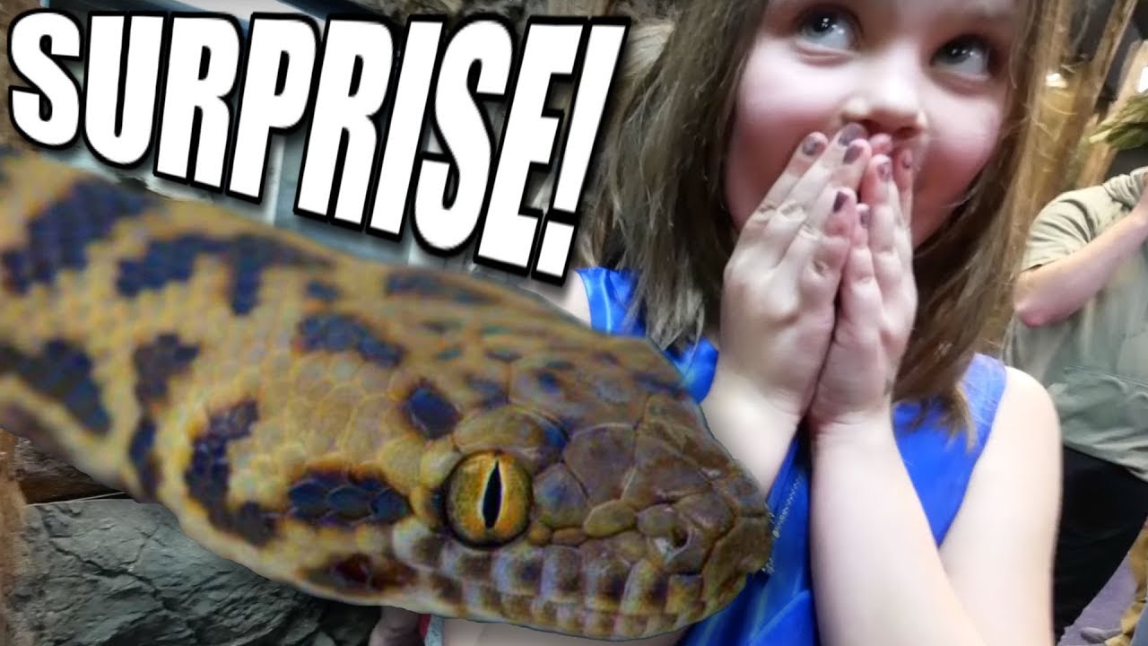 SURPRISING A 7 YEAR OLD WITH HER FIRST PET SNAKE!!! | BRIAN BARCZYK