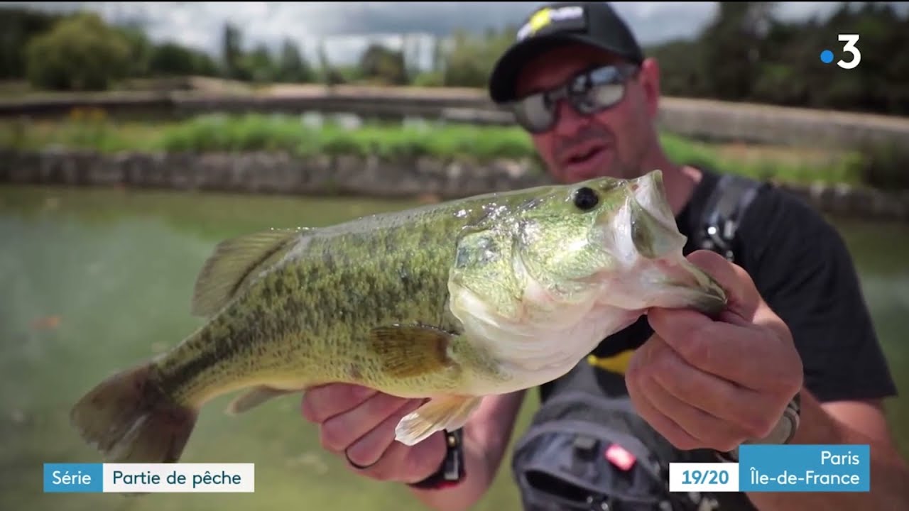 Reportage sur France3 IDF - Terre de pêche - PARIS PREDATOR FISHING