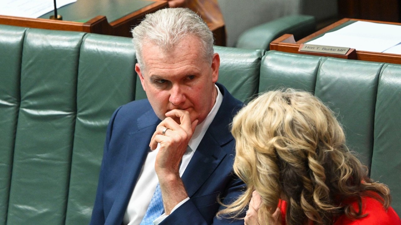 Labor throws migration overhaul into question as Tony Burke delays major policy
