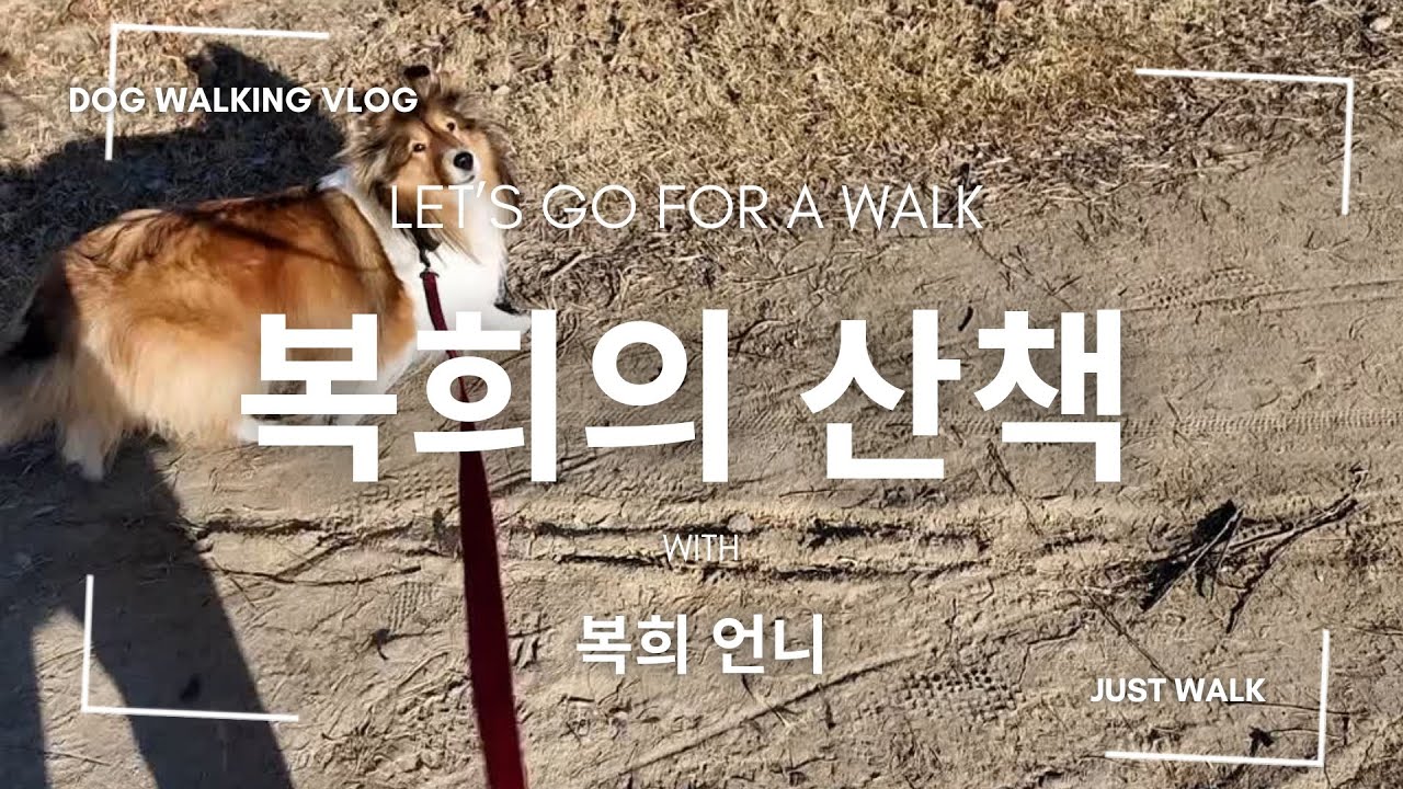 복희의 산책 1 Boki's walk