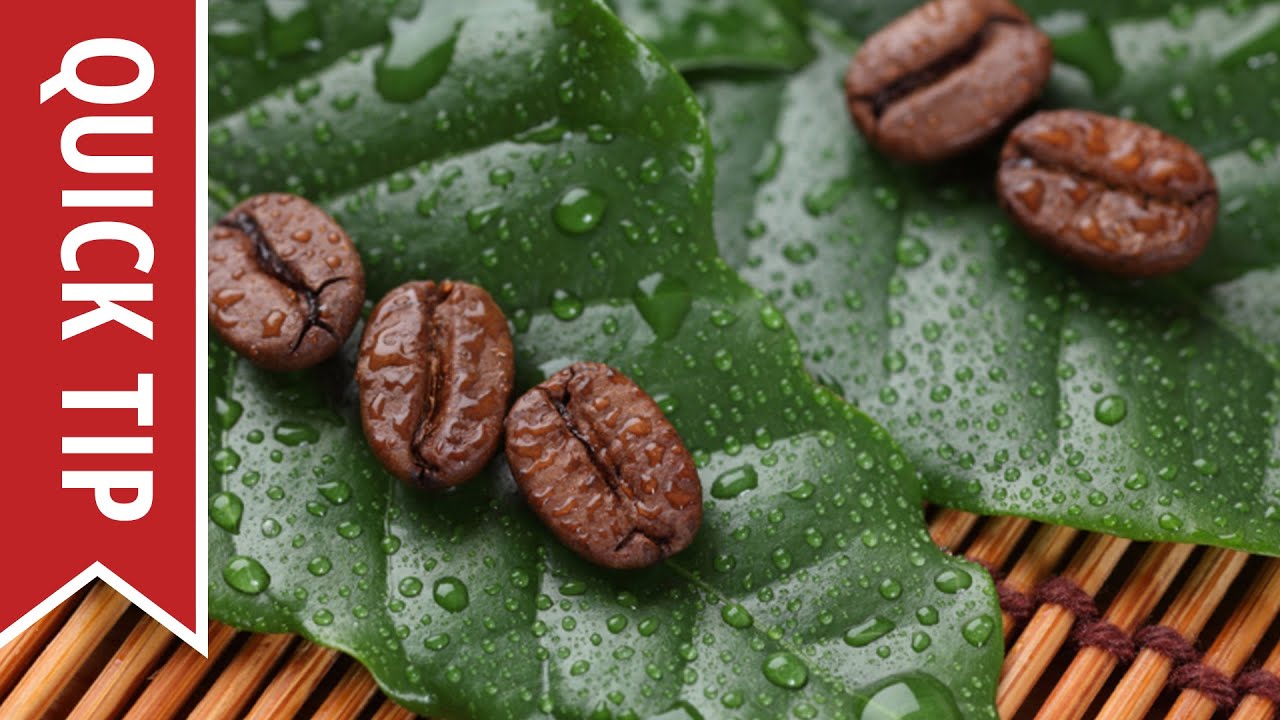 What is the Best Time of Day to Drink Coffee?