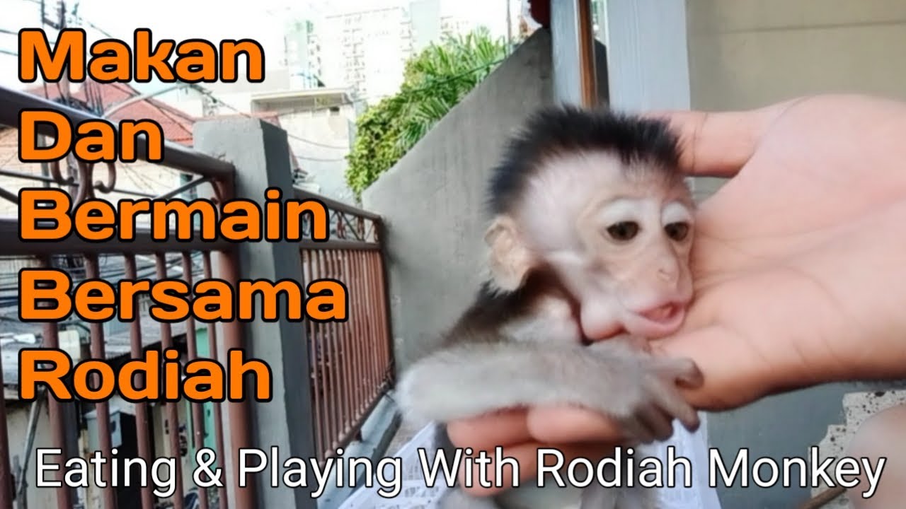 Makan Dan Bermain Bersama Rodiah