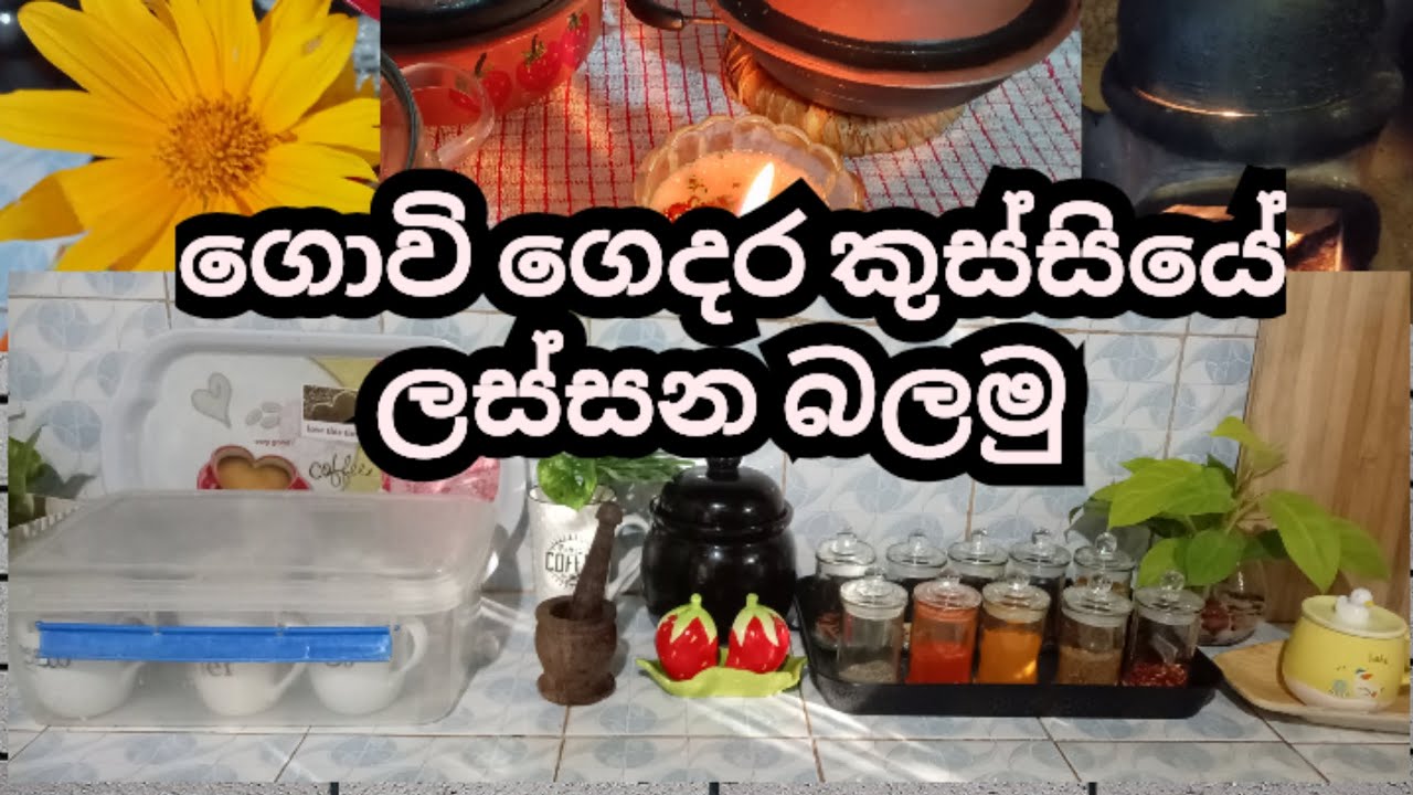 Pantry කබඩ් නැති වියදම් නැති ලස්සන කුස්සියක් බලමු. 😀😀😀