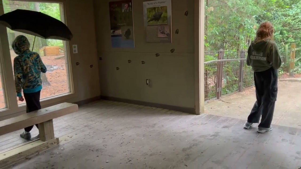 Salisbury Free Zoo 2025