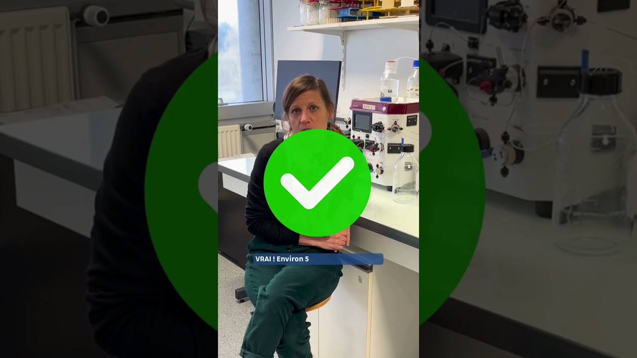 Se former aux biotechnologies de demain à l'ESBS #2
