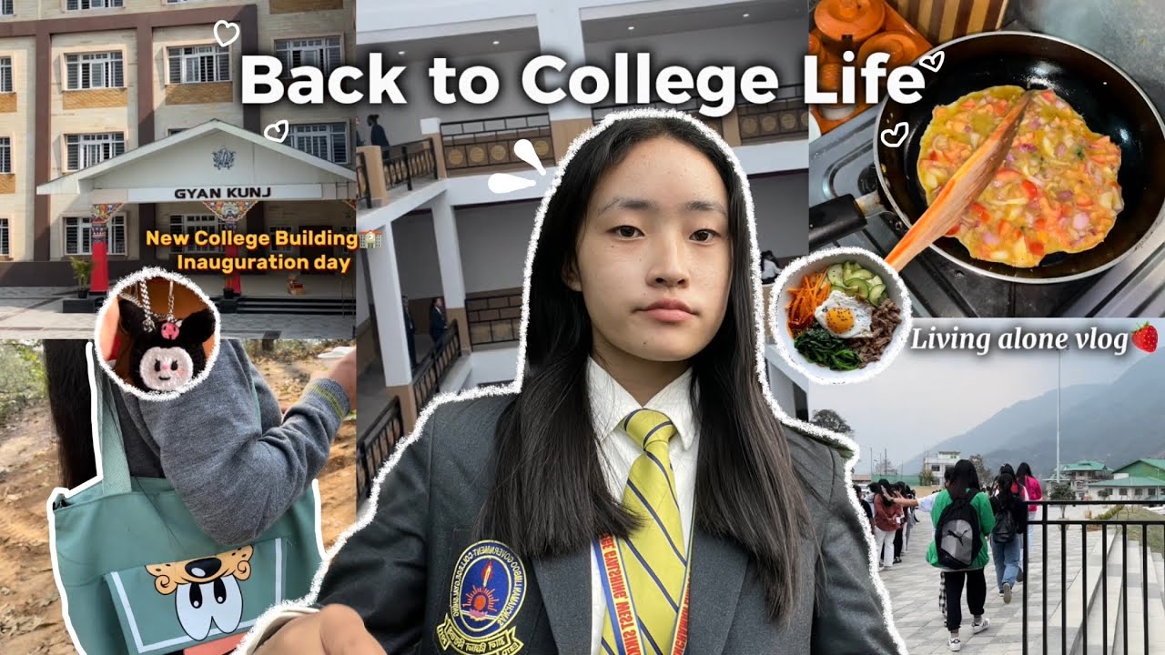 Back to College life ʚ🍓ɞ|College Inauguration day | living alone vlog | Indian girl🌸