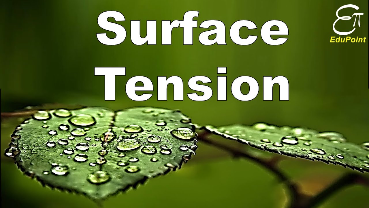 🔴 Surface Tension || for Class 11 in HINDI