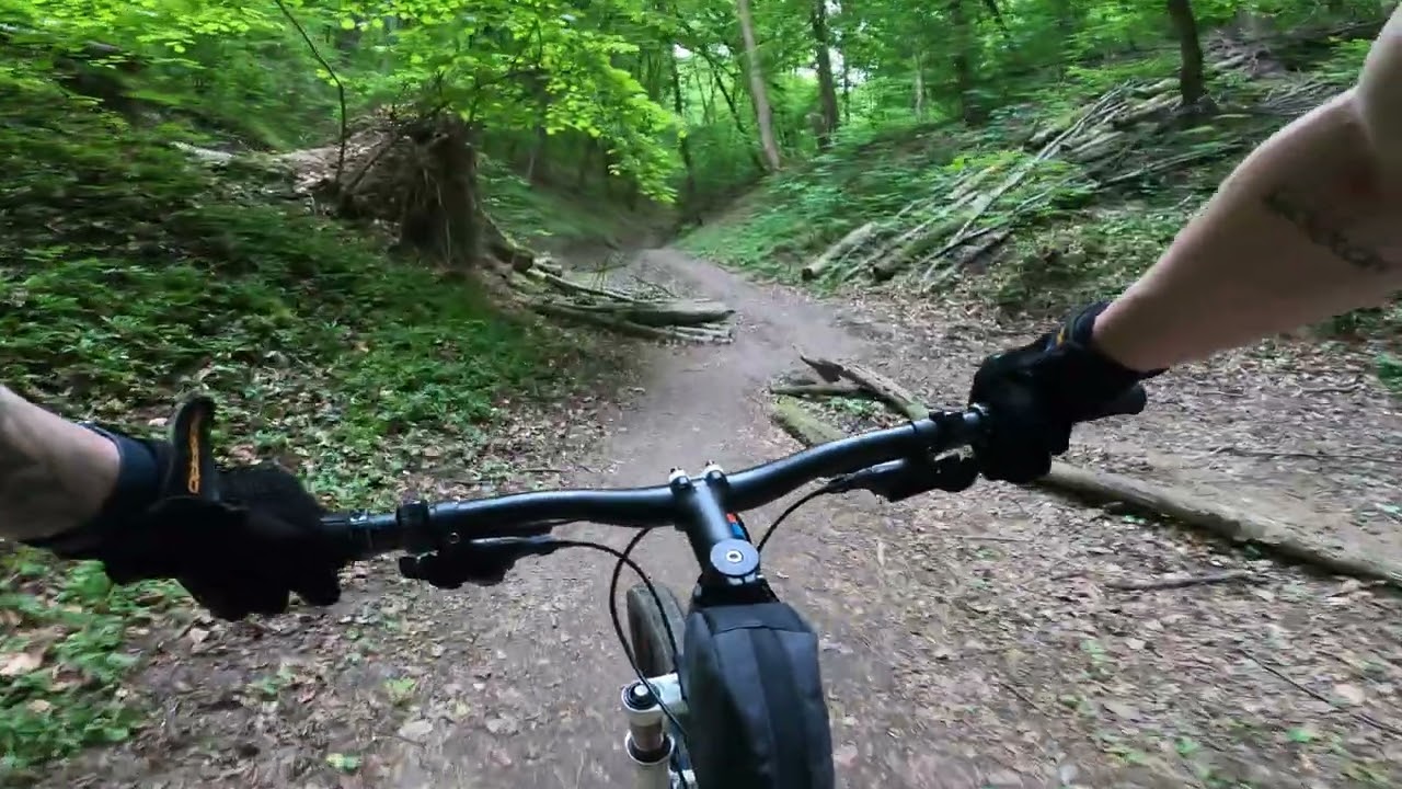 Rower MTB i Lasek Wolski z Hotelu DAISY