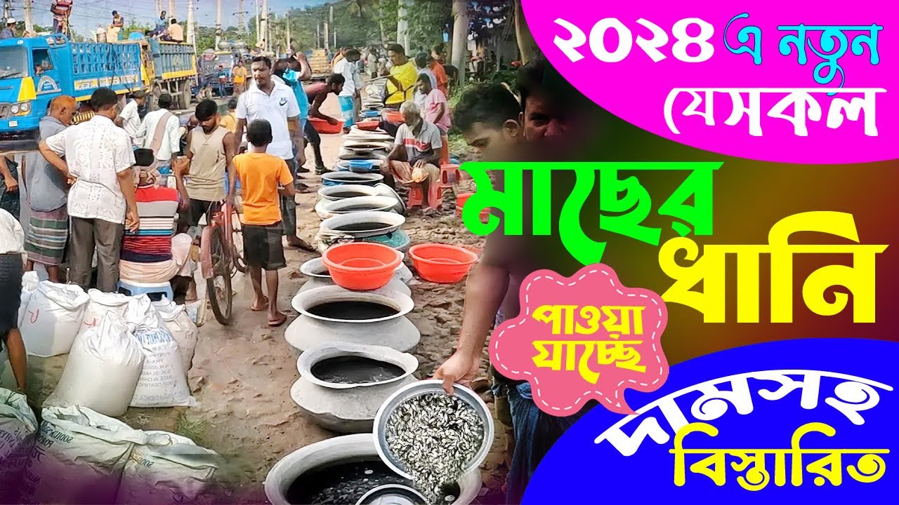 মাছের পোনার দাম ও কোথায় পাওয়া যায়। আপডেট ২০২৪। Maser ponar dam। Fish seed price in BD