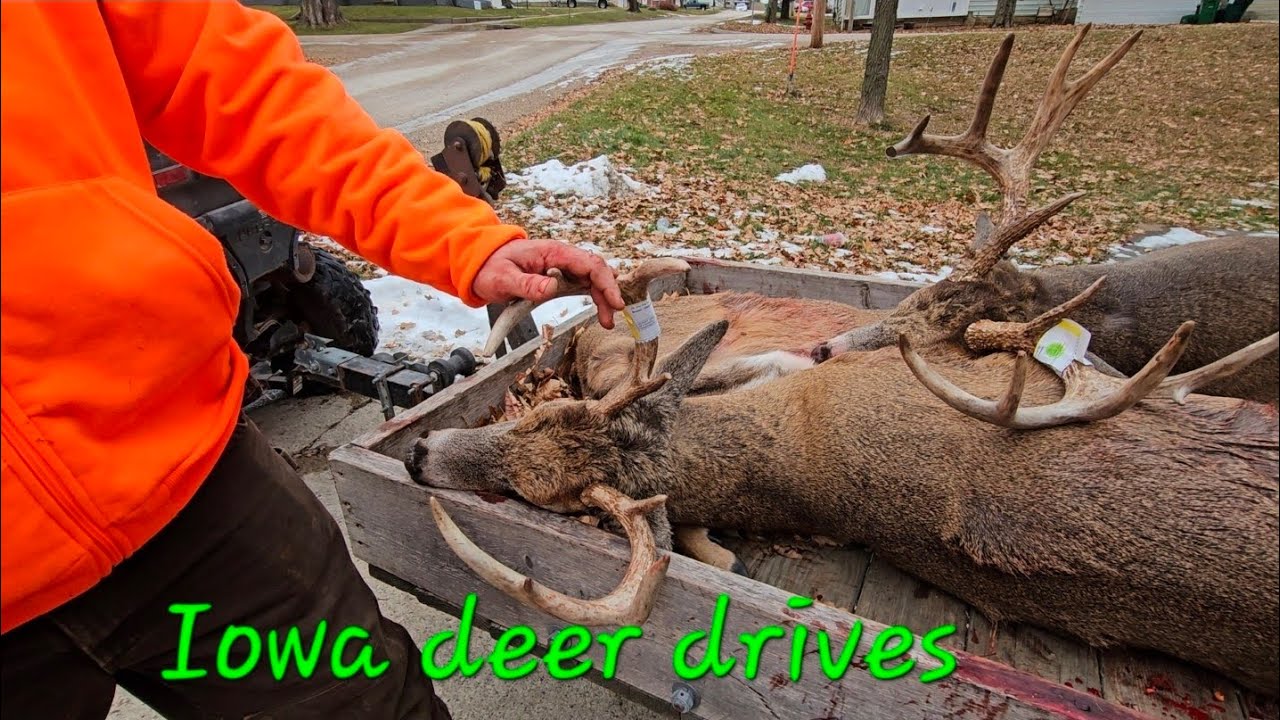 Iowa Deer DRIVES
