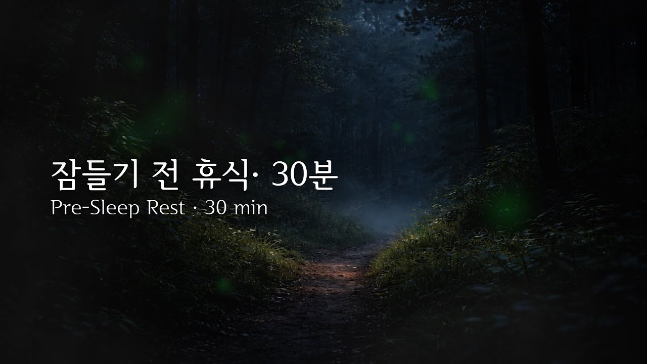 잠들기 전 휴식 | 30분 | 내가 잠드려고 만든 자장가 | 반딧불이 숲