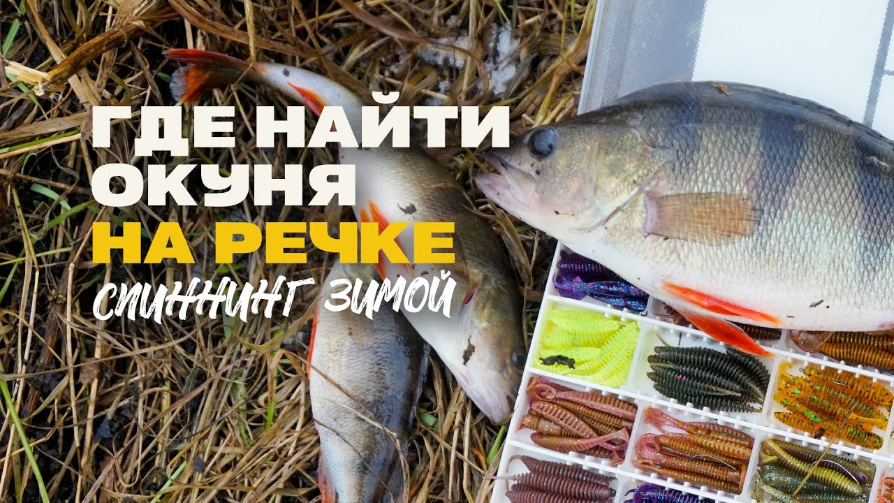 Где Искать Окуня Зимой на Малой Реке Спиннинг Микроджиг и Рабочие Приманки