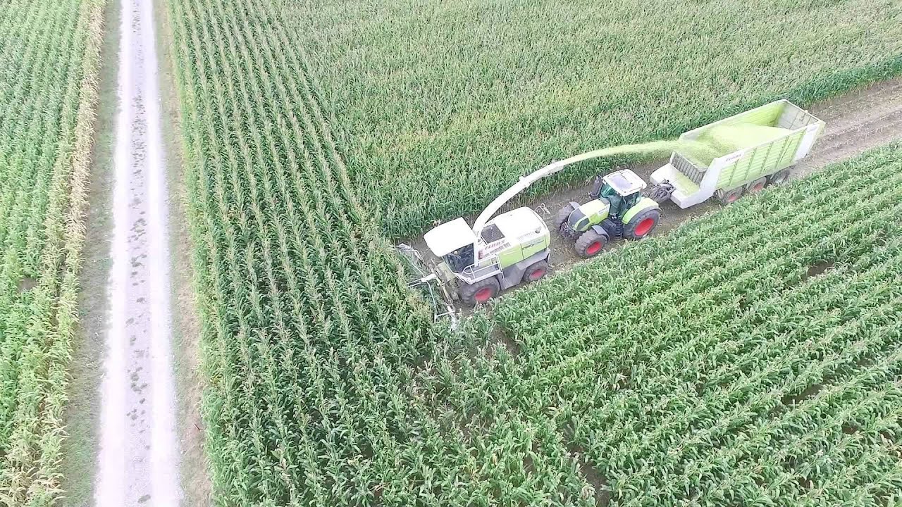 Mais häckseln mit Dji Phantom 3