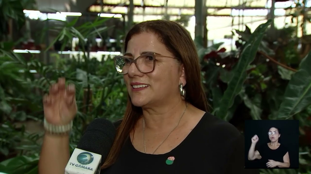 Câmara Notícia | Flores de Verão Ceasa 02/02/2026