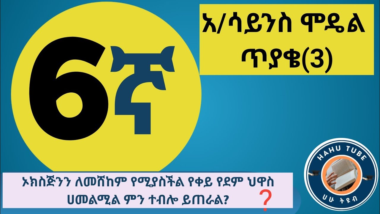 🎯 የ6ኛ ክፍል አካባቢ ሳይንስ ሞዴል ፈተና - አራዳ ክፍለ ከተማ (2017 ዓ.ም)