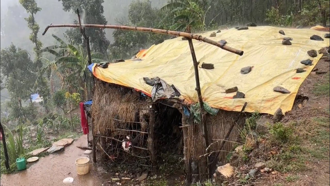 The Best Naturally Nepali Mountain Village Life During the Rainy | Rural Documentary Video In Nepal 