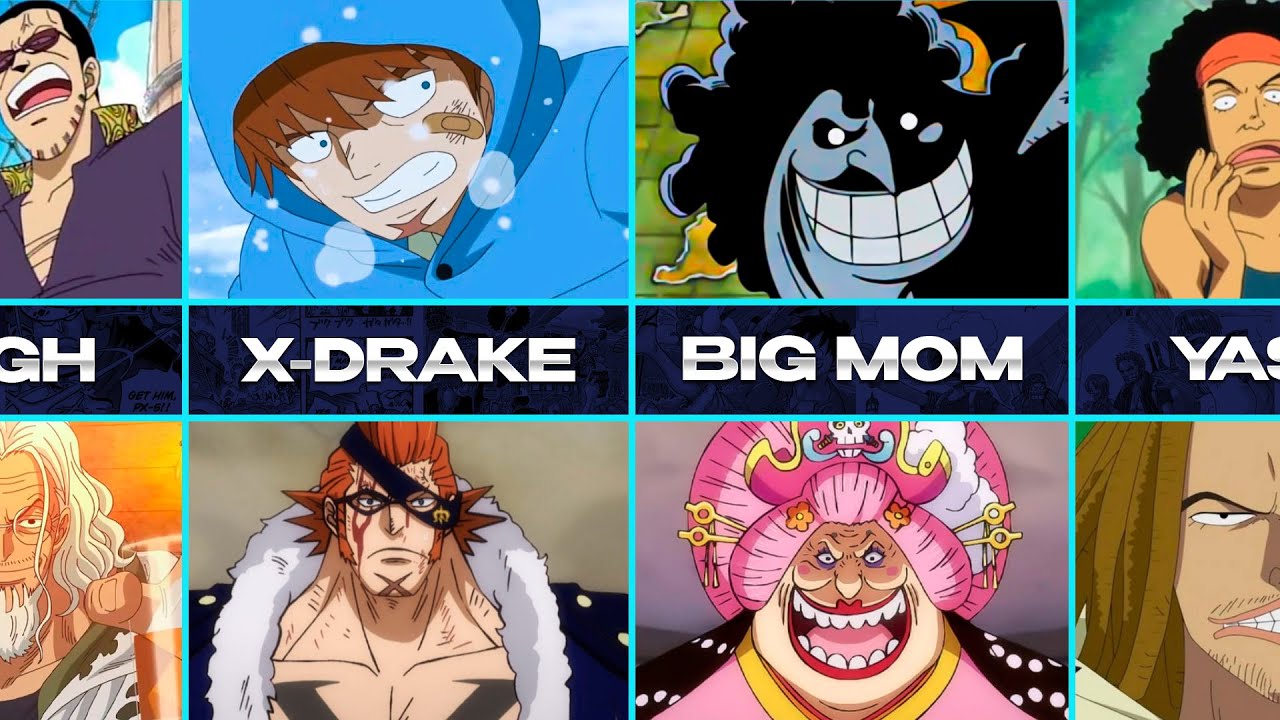 One Piece Characters | BEFORE and AFTER Timeskip | PART 2