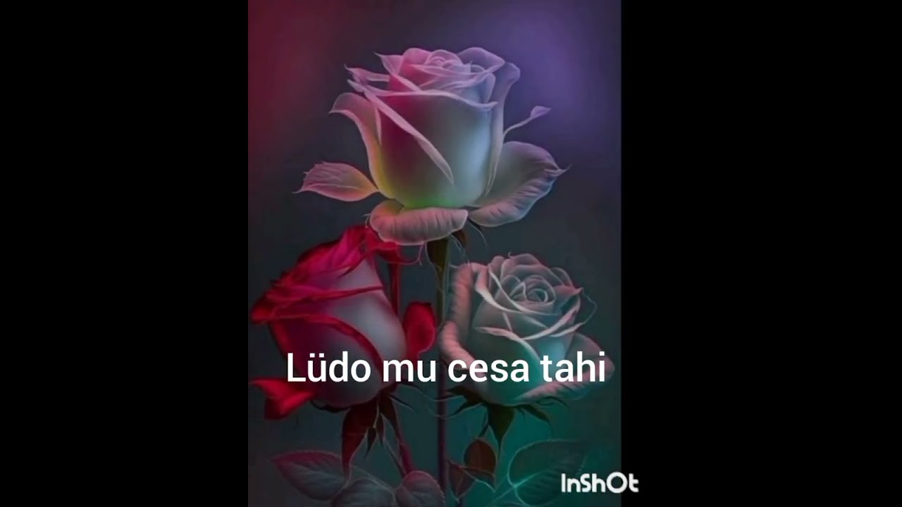 chokri Gospel/ song/ Nyepüko// Composed by: Late Rüsangoi swüro