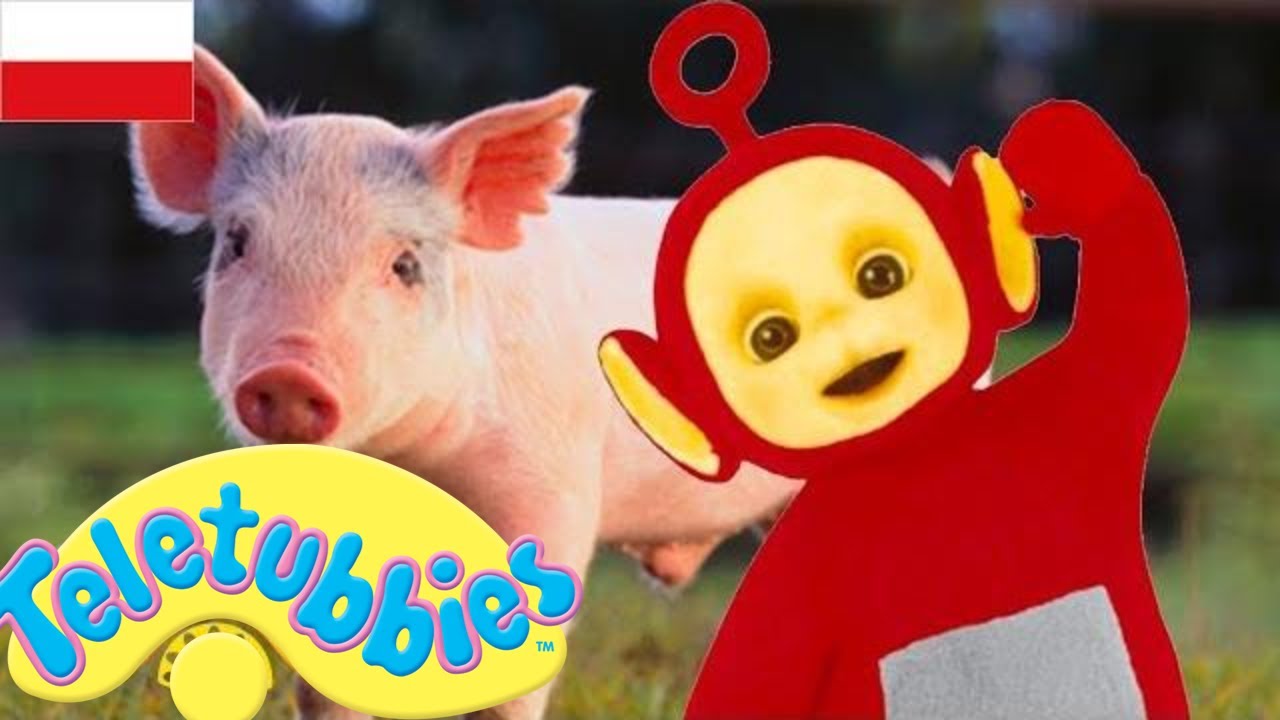 ☆ Teletubisie Po Polsku ☆ 102 DOBRA JAKOŚĆ (Pełny odcinek) ☆