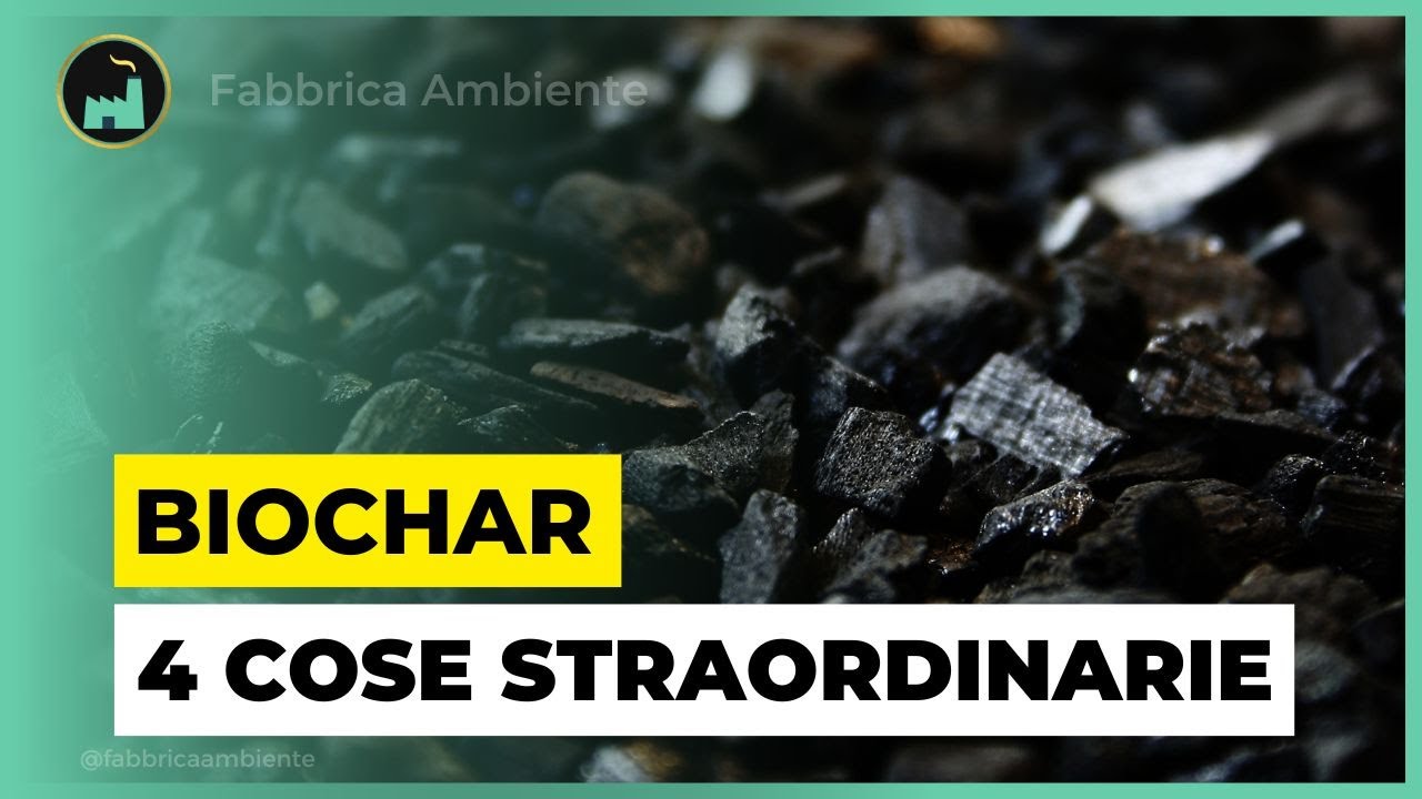 Biochar: Ecco i 4 Grandi Problemi Che l'Uso di Questa Straordinaria Cenere Ci Aiuta a Risolvere