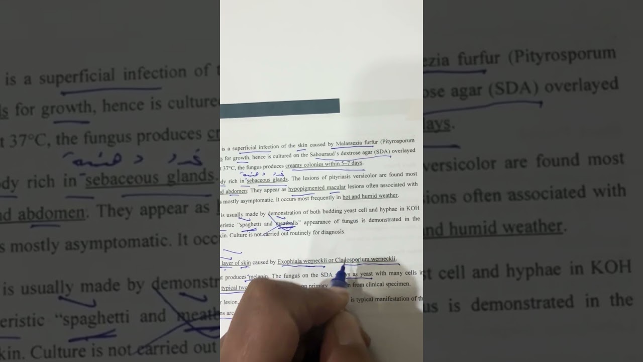 شرح محاضرة الفطريات الرابعة مرحلة ثالثة مختبرات طبية وزاري ٢٠٢٦ /الاستاذ مسلم عقيل 