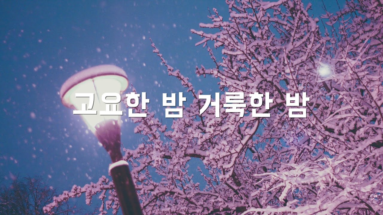 고요한 밤 거룩한 밤 클라리넷 찬양 연주!! | Silent Night Holy Night