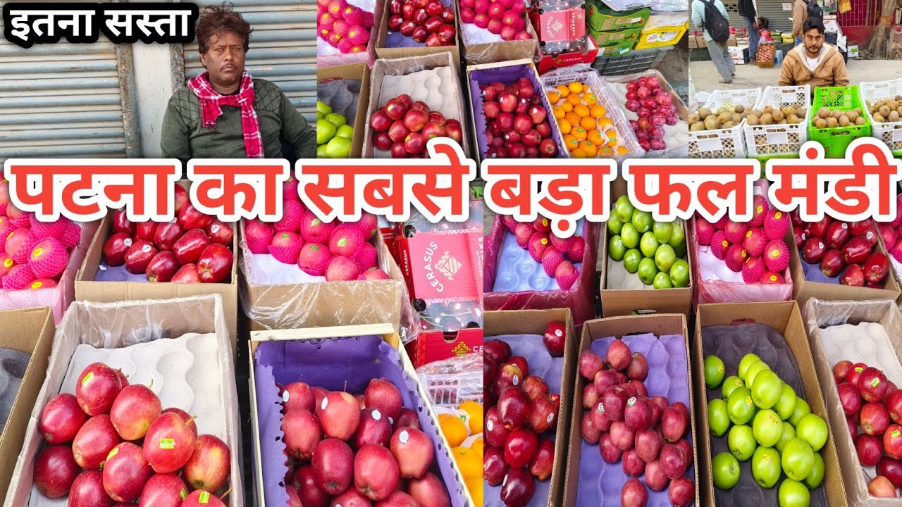 बिहार का सबसे बड़ा फल मंडी | Fruit Mandi | Fruit Wholesale Mandi Patna | Fruit Wholesale Market 