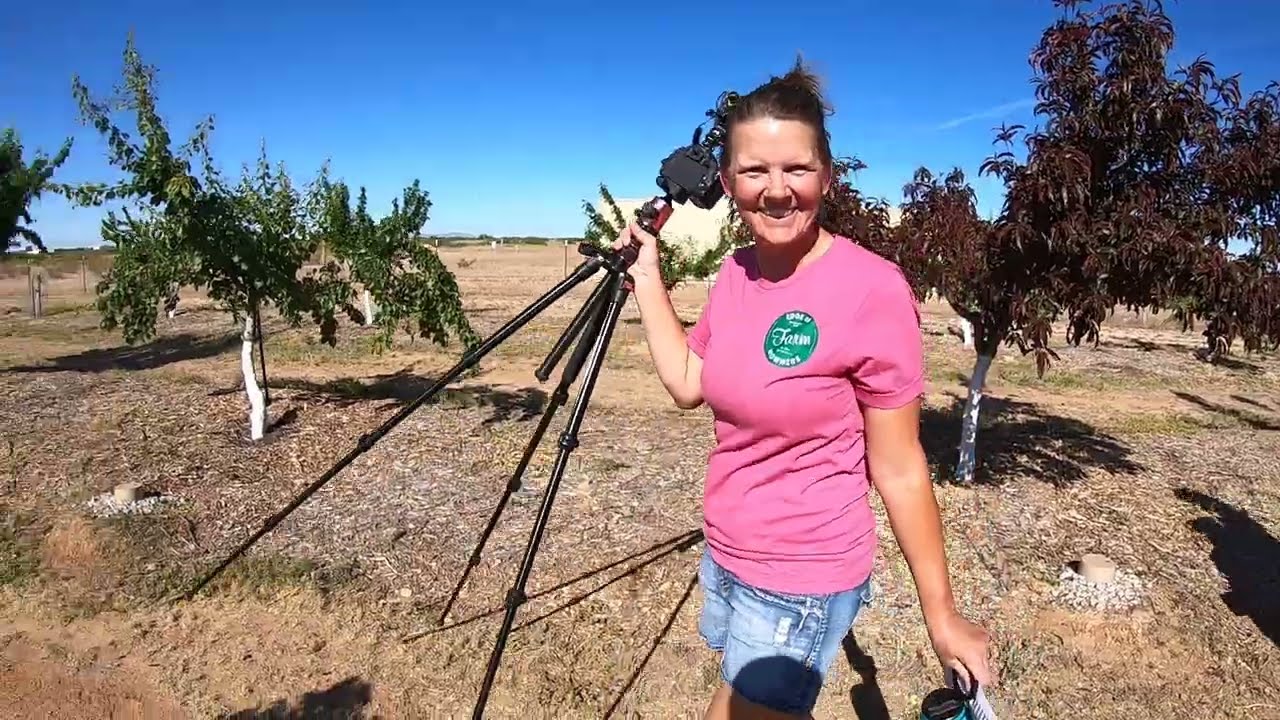 Trip to Wittmann, AZ