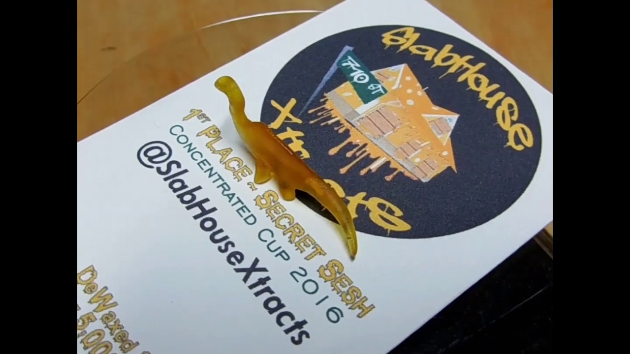 Half Gram Dab - osaur​! For National Dinosaur Day!