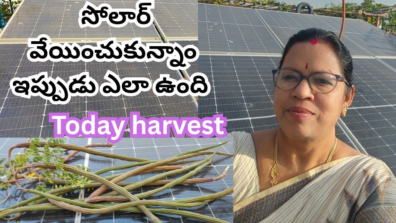 సోలార్ పెట్టించుకున్నాం ఇప్పుడు ఎలా ఉంది #@AadiLakshmiTerraceGarden #solar details 