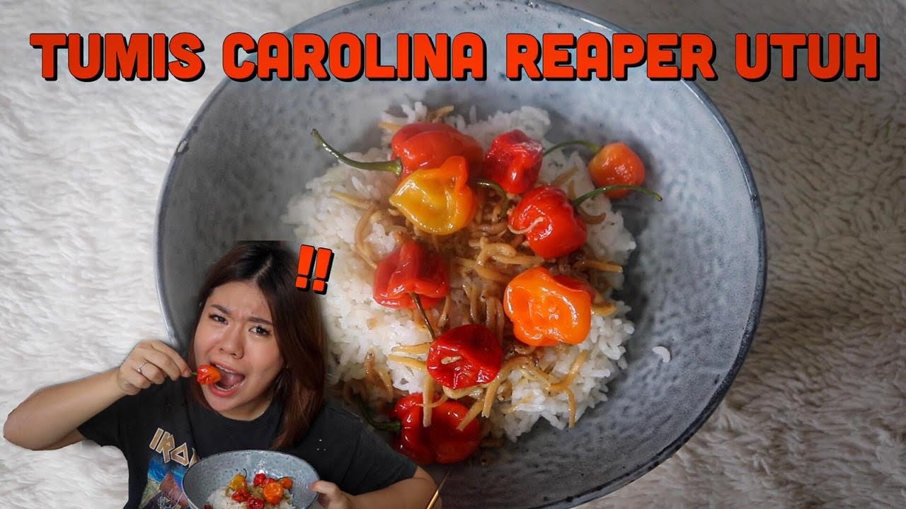 TUMIS CAROLINA REAPER KW,PEDAS NYA LEVEL 100000000000000000