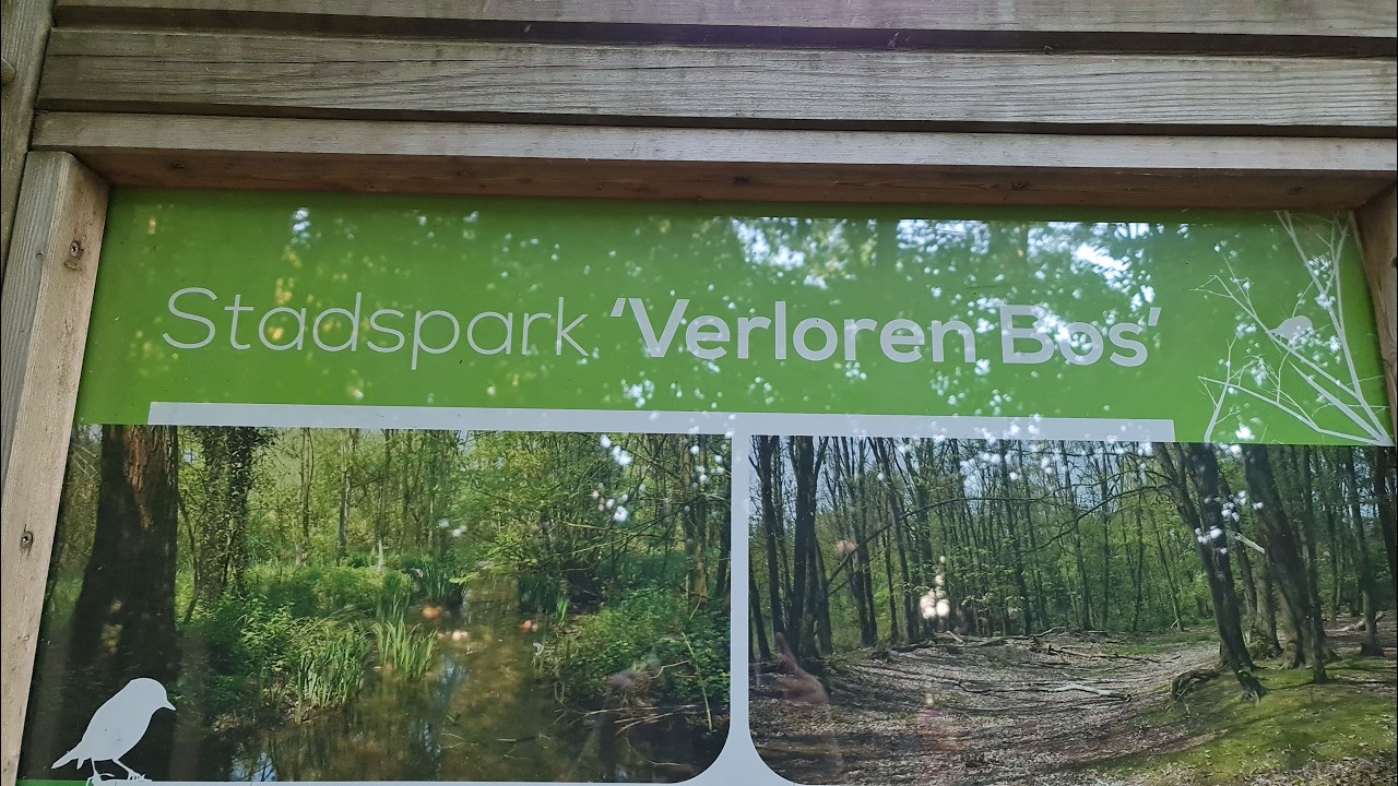 Stadspark Verloren Bos Lokeren 4K