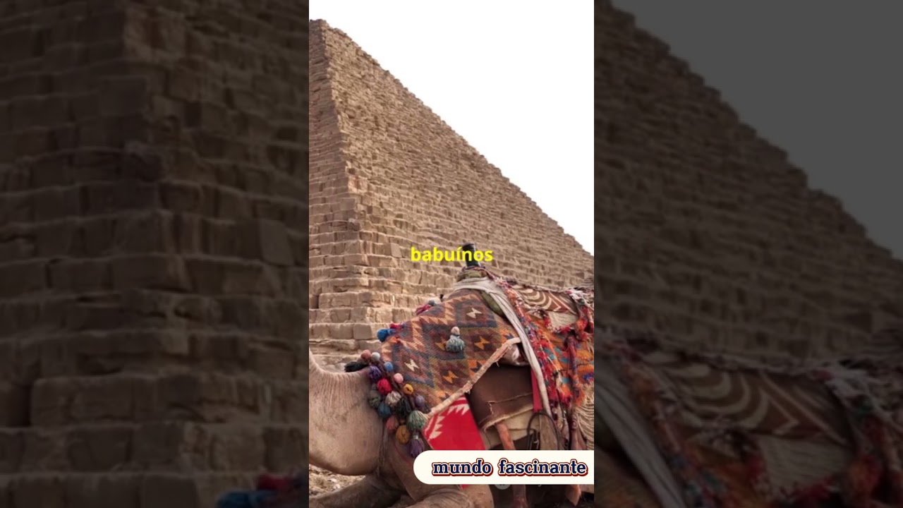 Segredos dos fara&oacute;s que quase ningu&eacute;m sabe?#fatosinteressantes #curiosidades #shortvideos  #historia