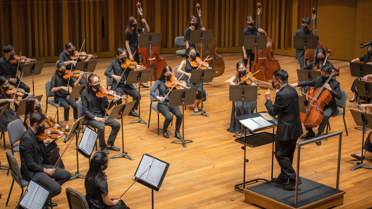 Mendelssohn: String Symphony No. 7 in D Minor