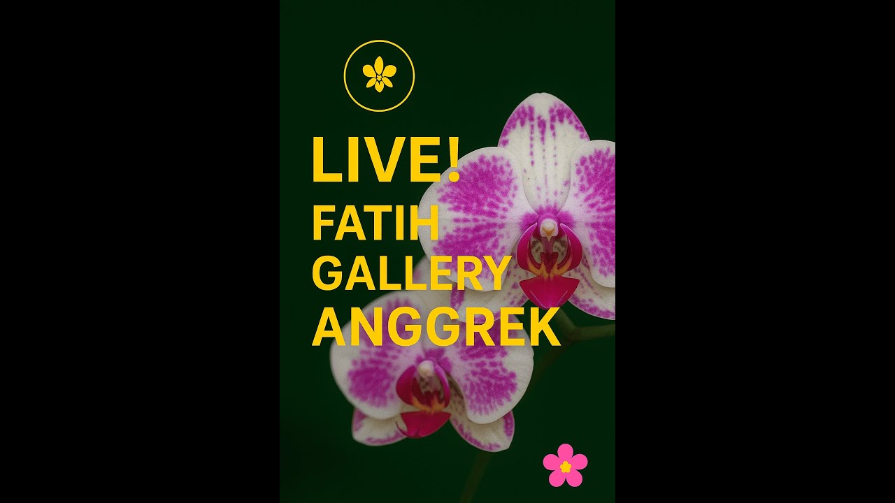 live cheap orchids #shorts #fatihgalerianggrek #orchid #bicaraanggrek #fyp #flowers  #world