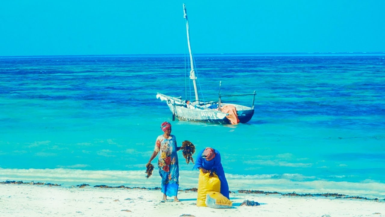 Hakuna matata : DOBRODOŠLI na Zanzibar!