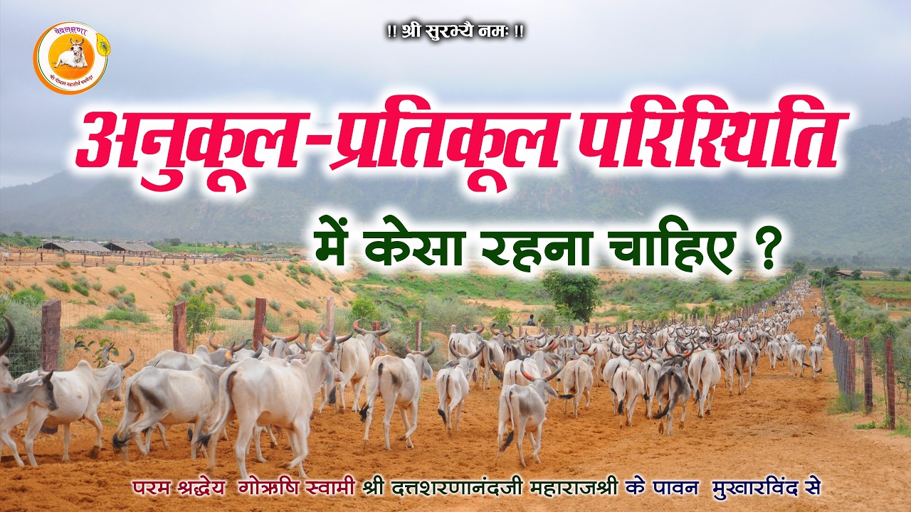 अनुकूल–प्रतिकूल परिस्थिति में कैसा रहना चाहिए? | जीवन के लिए संतों की अमूल्य सीख |पथमेड़ा महाराजश्री